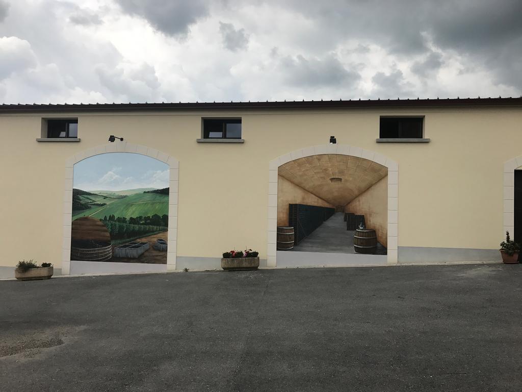 Chambres D'Hotes & Champagne Douard La Chapelle-Monthodon Dış mekan fotoğraf